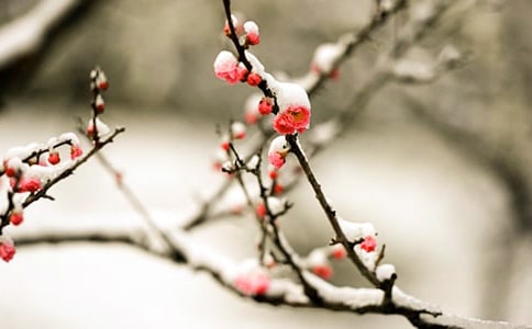 ÷������