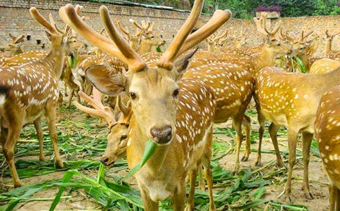 ÷��¹��(y��u)�����ģ����x3ƪ��