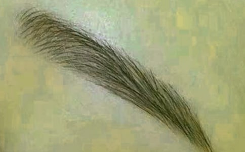 �茑(xi��)üë�ľ���