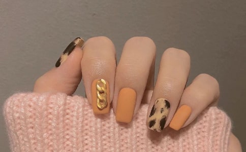 СС��������