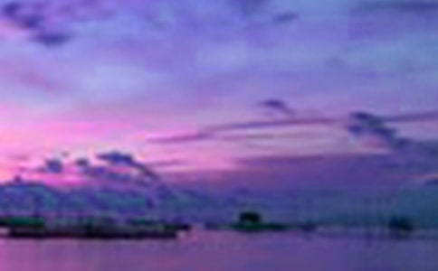 身邊的美景作文