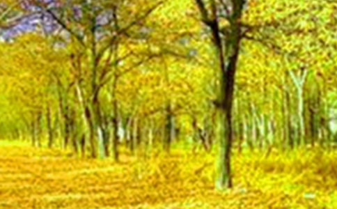 �l(xi��ng)�����������