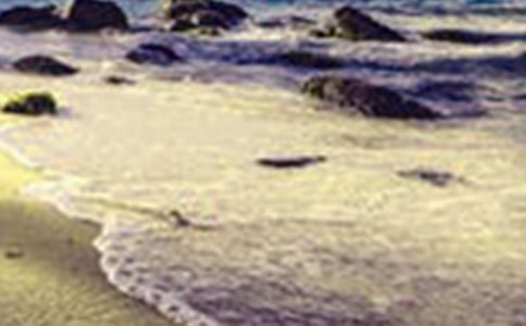 �����������\��[15ƪ]