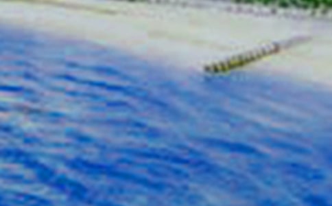 ѩ����������