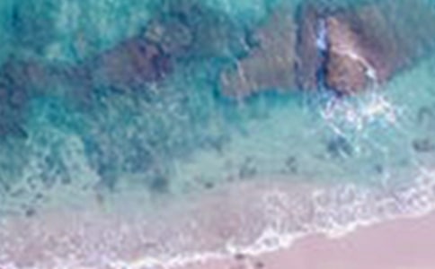 �l(xi��ng)��������(y��u)������