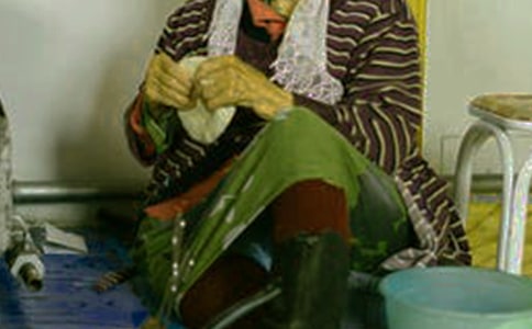 �ɹ����L(f��ng)������