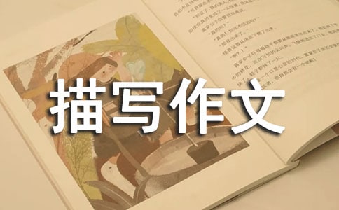 �Ϫ�������茑����