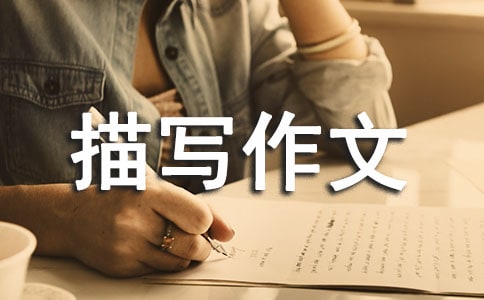 ��(x��)��(ji��)�茑���ķ���