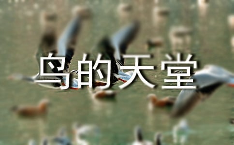 鳥(niǎo)的天堂 2