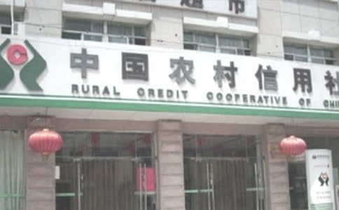 �r(n��ng)������������(b��o)�棨ͨ��6ƪ��