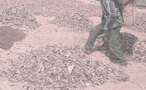 �茑�ڵ�����r(n��ng)��ľ���