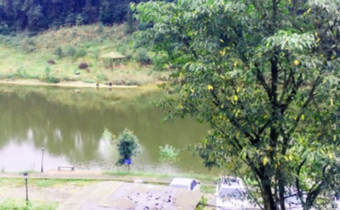 ���r(n��ng)�Ҙ�����15ƪ