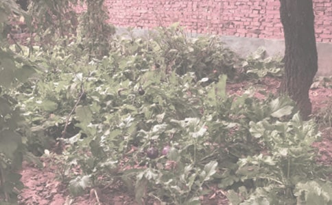 �r(n��ng)����N��ُ�I��ͬ5ƪ