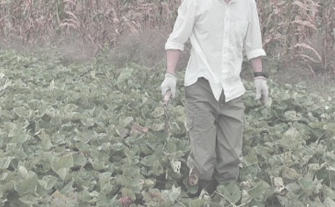 ���P�r����N��ͬ4ƪ