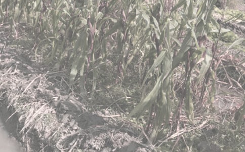 �r(n��ng)����N��ͬ�����\��6ƪ