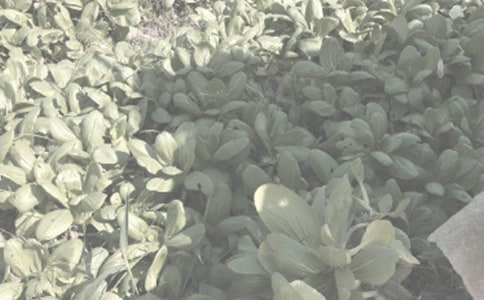 �P(gu��n)���r(n��ng)����N��ͬ���ļ��\��ƪ