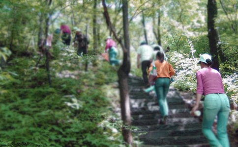 ��ɽԒ�}����