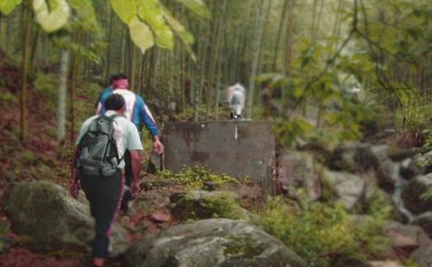 ���P(gu��n)��ɽ������