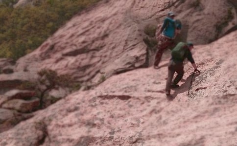 25《爬山虎的腳》|人教版