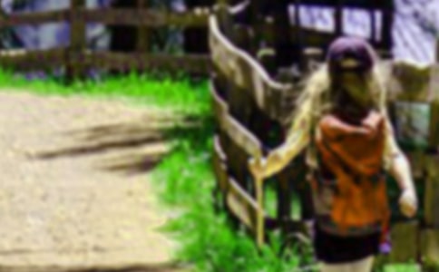 ��ɽ��(y��u)�����ģ���ȫ15ƪ��