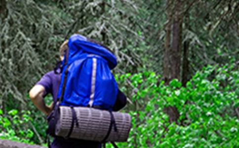 ��ɽ��(y��u)������15ƪ[����]