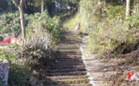 ��ɽ•̫�•��(m��ng)