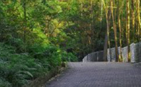 ��ɽ�����ġ��᡿