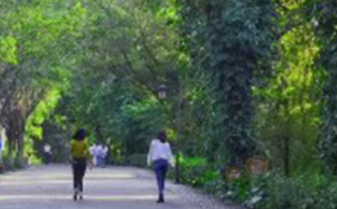 ��Ƭ�G�G����ɽ������