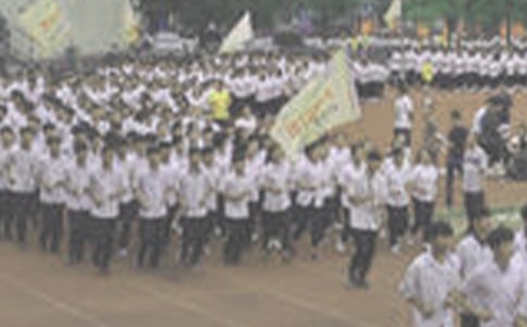 �ܲك�(y��u)�����ģ�ͨ��23ƪ��