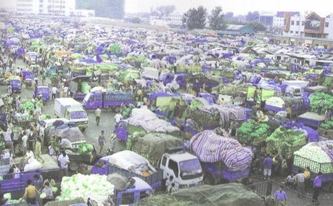 ˎƷ���l(f��)��I(y��)�Բ��(b��o)��15ƪ