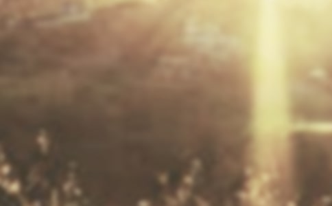 �ƕԵ�����