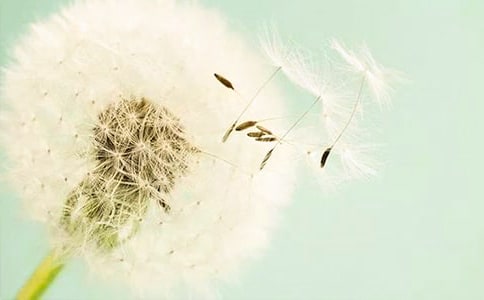 �ѹ�Ӣ����;