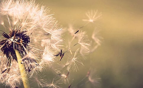 ���ѹ�Ӣ������(��2ƪ)