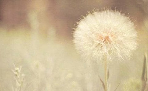 ���P�ȴ��������زģ�ɳĮ�ѹ�Ӣ