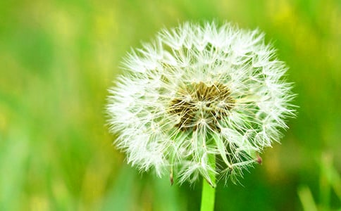 �ѹ�Ӣ���԰�