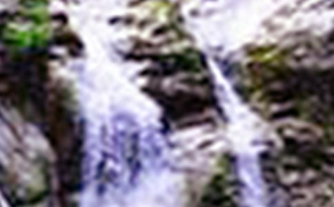 游白水寨瀑布作文