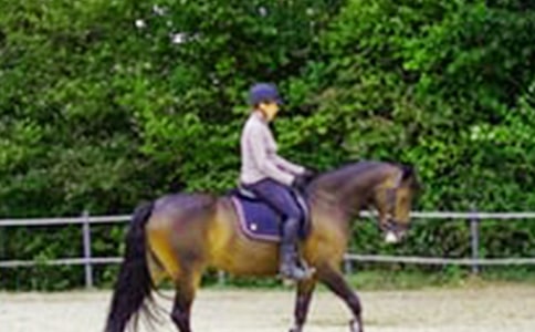 ���᡿��һ���T�R����