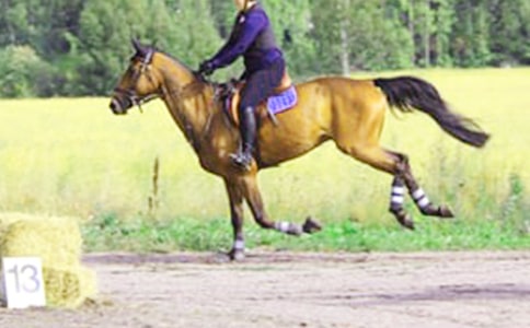 ��һ���T�R���ġ�����