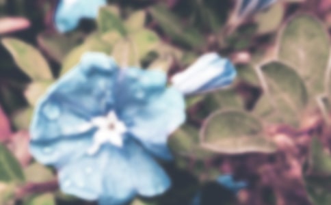 �茑����������������