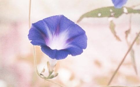 [��]��������ӛ15ƪ