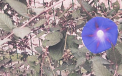 �����x������������3ƪ