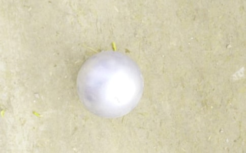 �w���U��̰���ͨ��16ƪ��