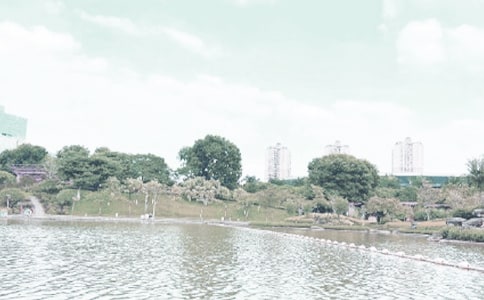 ǧ�������L(f��ng)��С�W(xu��)�����ģ����x5ƪ��