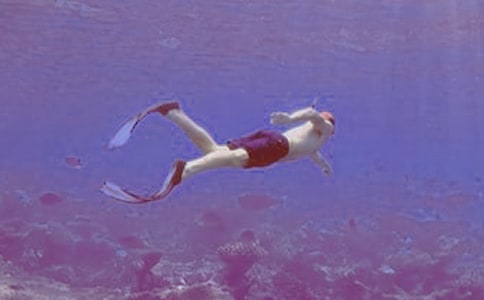 �P(gu��n)�ڝ�ˮ������