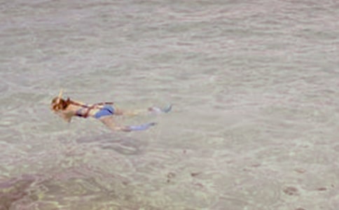 潛水優(yōu)秀作文