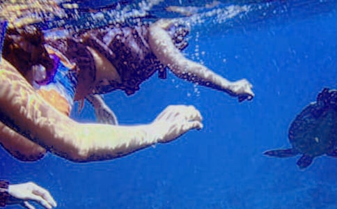 ��ˮ�ĸ��X�������