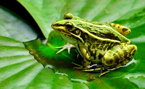 С���w���̰���С����׽���x6ƪ