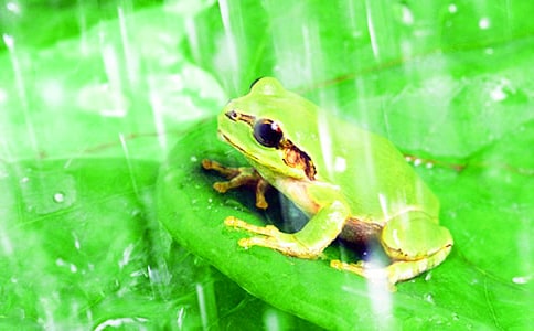 �����ܿ������Ľ��x�ͺ�(ji��n)Ҫ�O(sh��)Ӌ(j��)