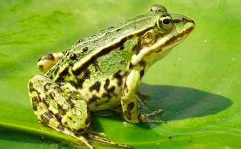 ���o(h��)��������