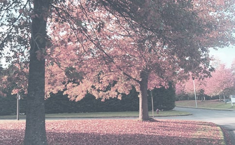 �W(xu��)ǰ��̌W(xu��)�＾����Ӌ(j��)��